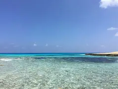 诺特海扬布马险胜塞尔鲁高阿尔，特里赛客中破门