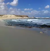 诺特海扬布马险胜塞尔鲁高阿尔，特里赛客中破门
