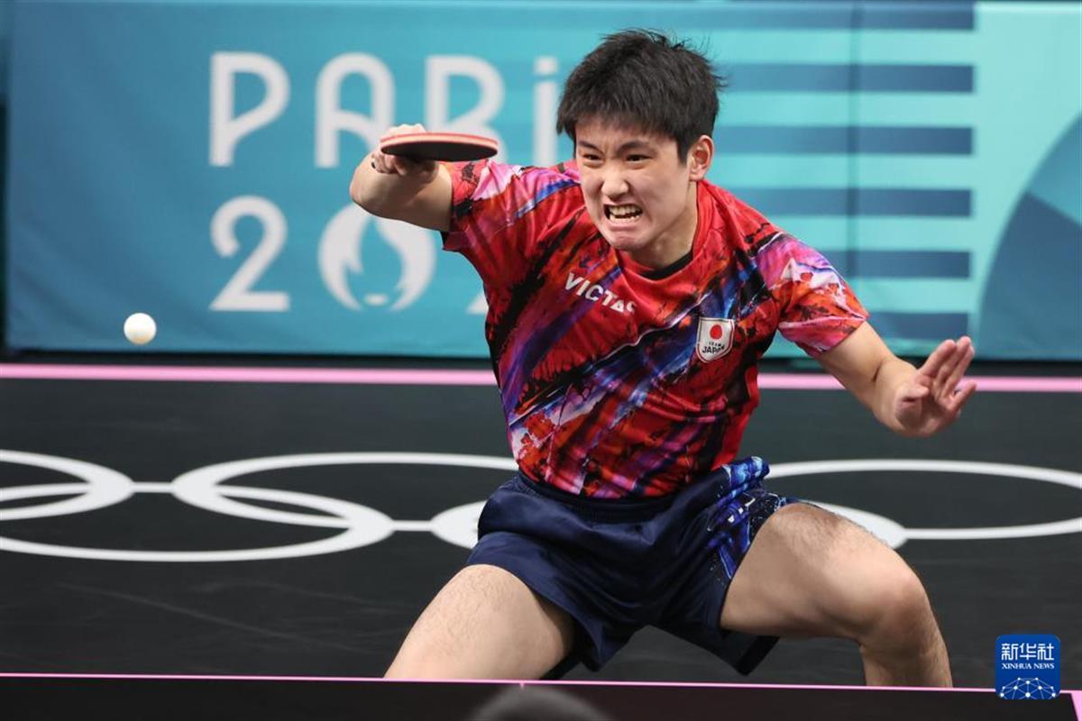 葡萄牙队翻盘日本队，张本智和高光表现的简单介绍