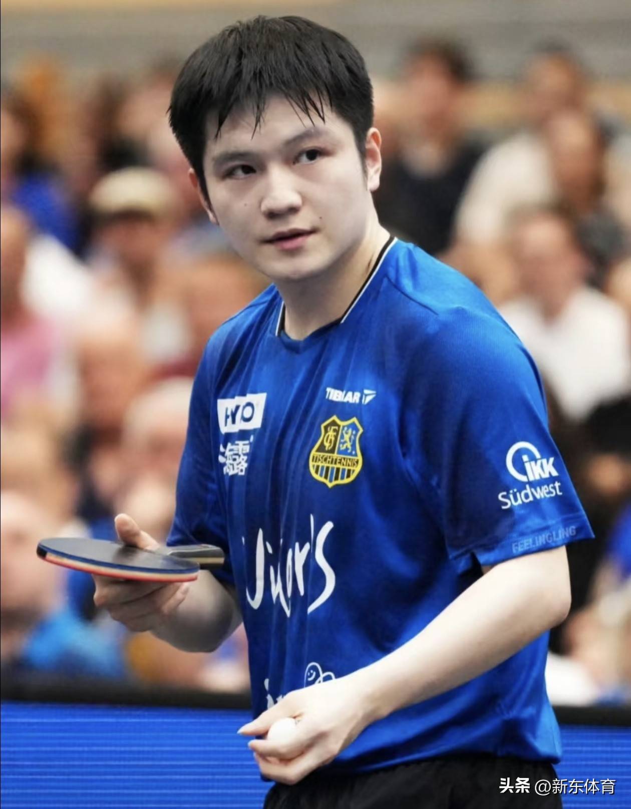 包含韩国乒乓球队翻盘比利时乒乓球队，樊振东惊艳世界的词条